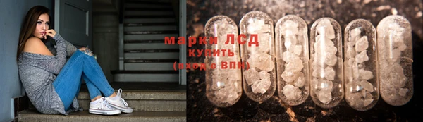 apvp Алексин